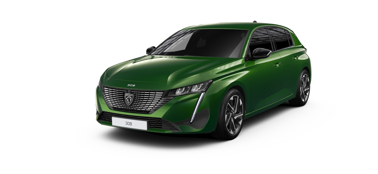 Peugeot 308 865